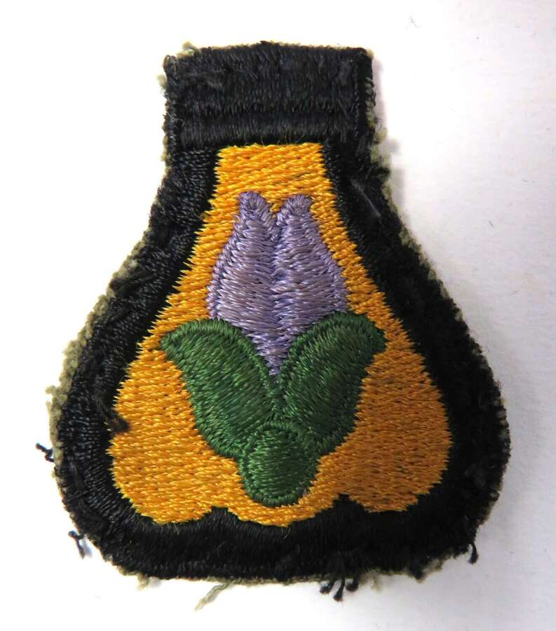 American 24th Cavalry Division Formation Badge