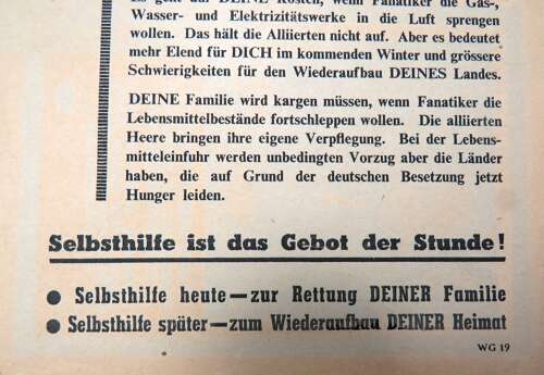 Rare Post D-Day Invasion German Air Dropped Leaflet On Germany WG19